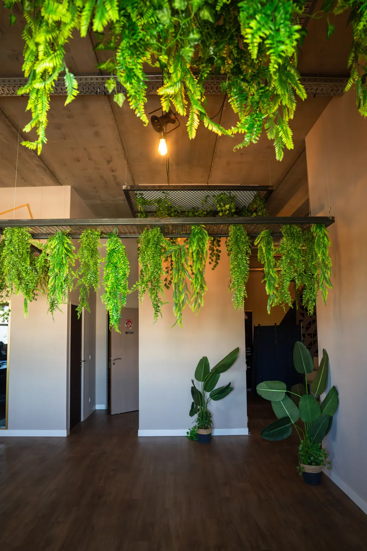 Open space végétalisé du coworking THELAB à Montpellier