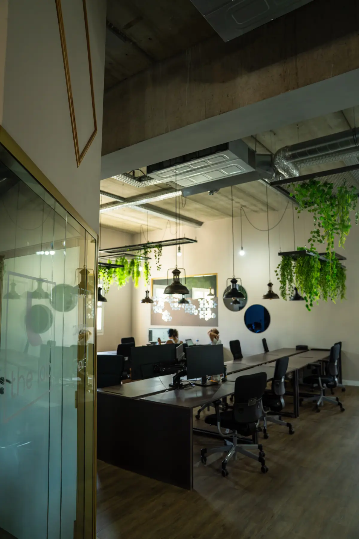 Coworking THELAB à Montpellier vu depuis la cloison vitrée